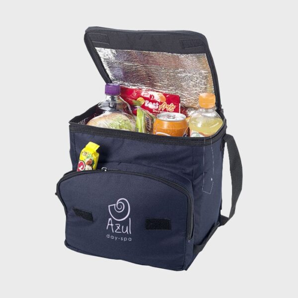 everyday-cooler-bags