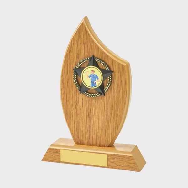 custom-wooden-shields